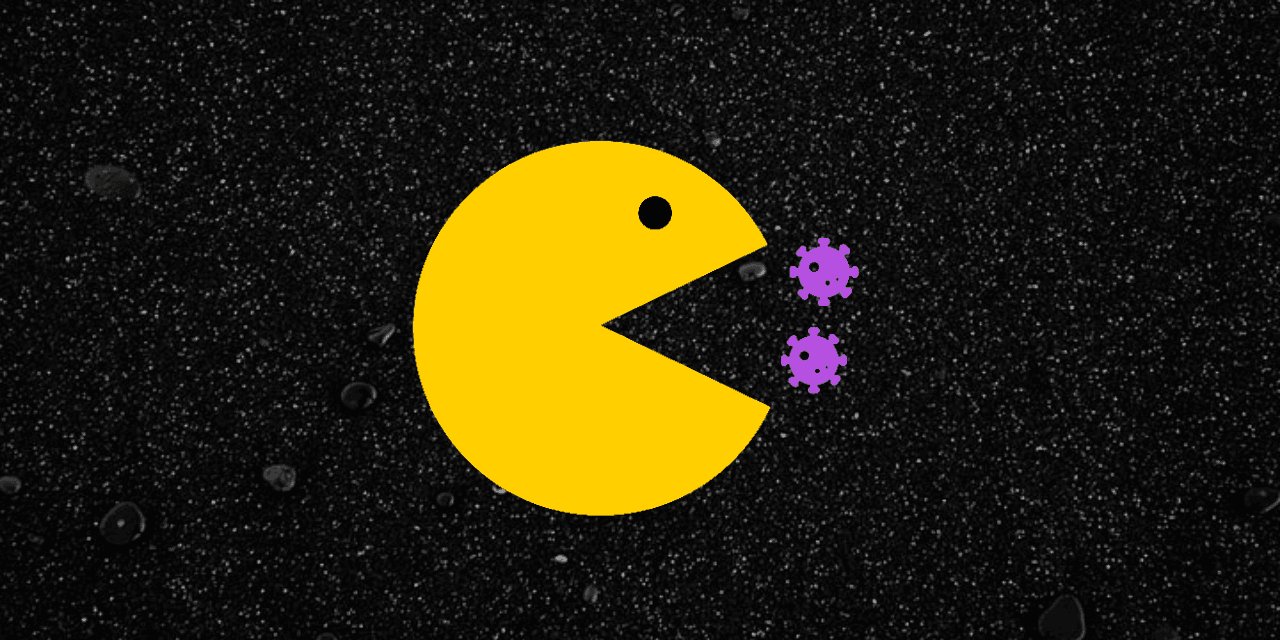 Sunsetting Rufus - A Glimpse Into The Making